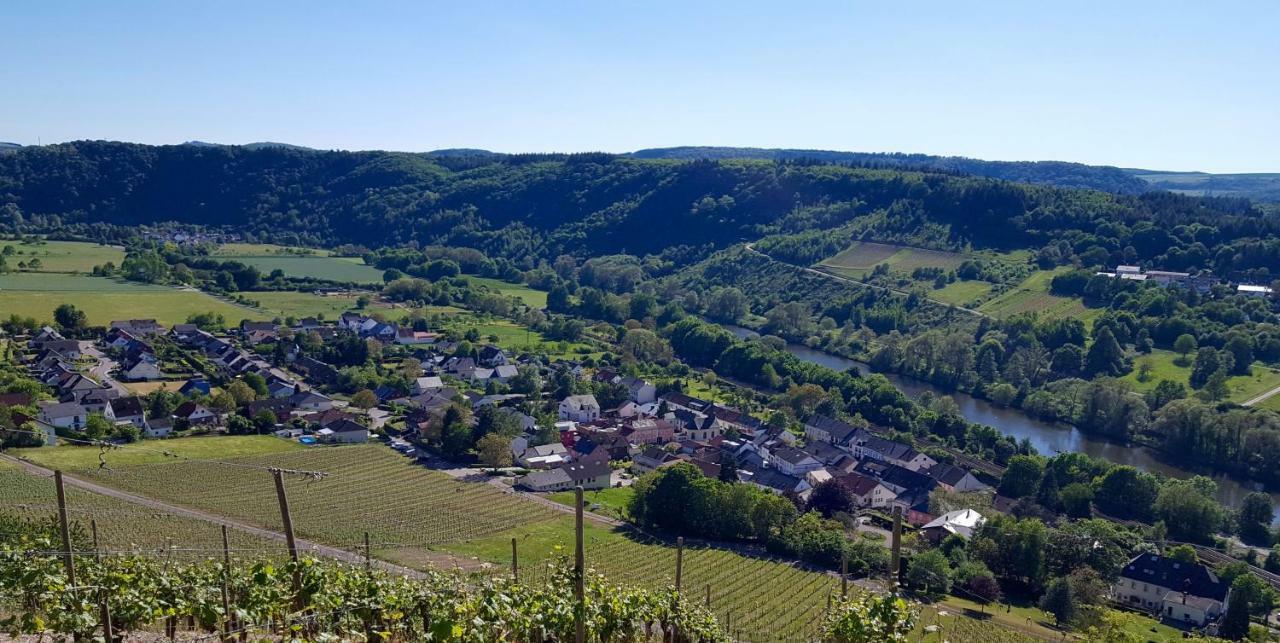 Zur Alten Rebe Ferienhaus Und Weingut Konz Extérieur photo