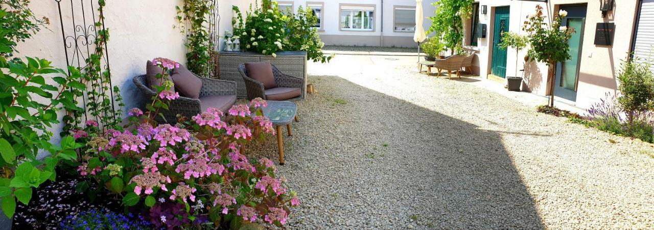 Zur Alten Rebe Ferienhaus Und Weingut Konz Extérieur photo
