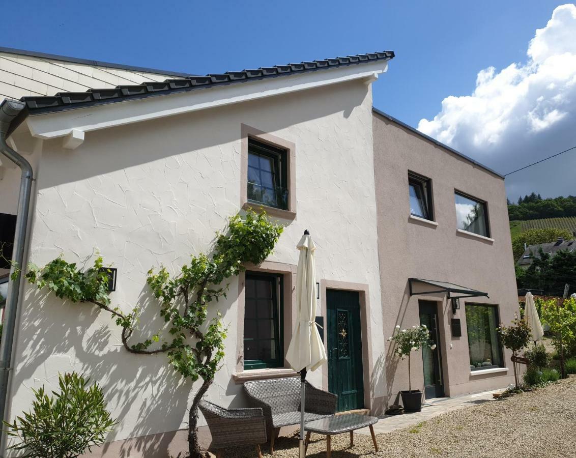 Zur Alten Rebe Ferienhaus Und Weingut Konz Extérieur photo