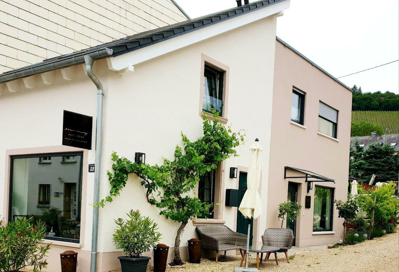Zur Alten Rebe Ferienhaus Und Weingut Konz Extérieur photo